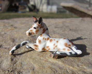 Custom mini model horse by Sarah Tregay. appy mule foal