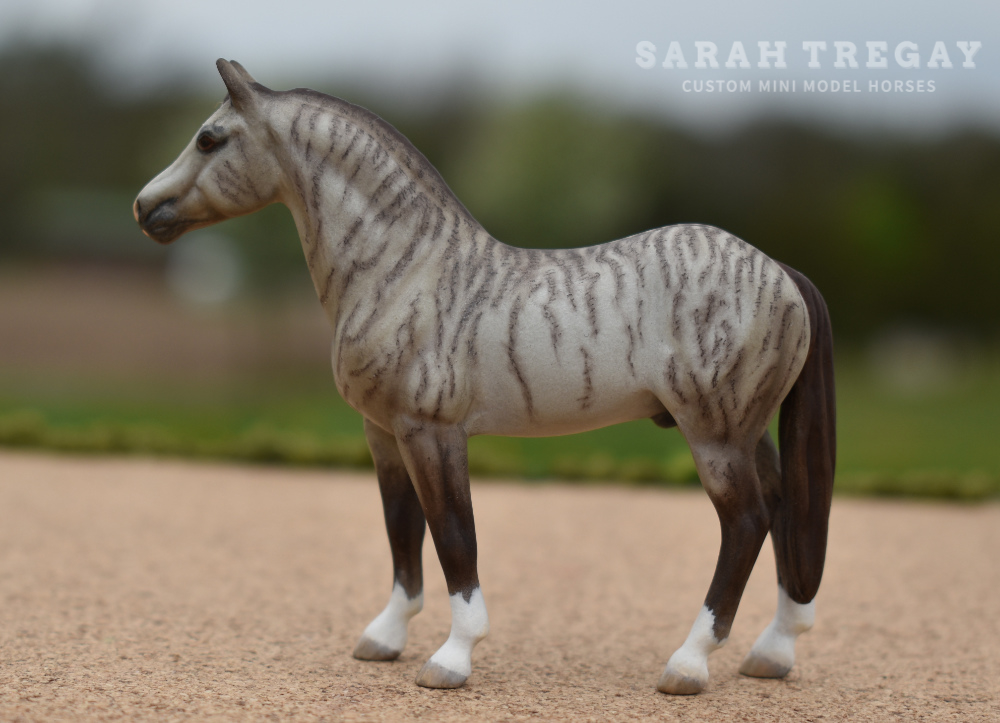CM Breyer by Sarah Tregay, a Custom Mini/ Stablemate Model Horse to brindle grulla quarter horse