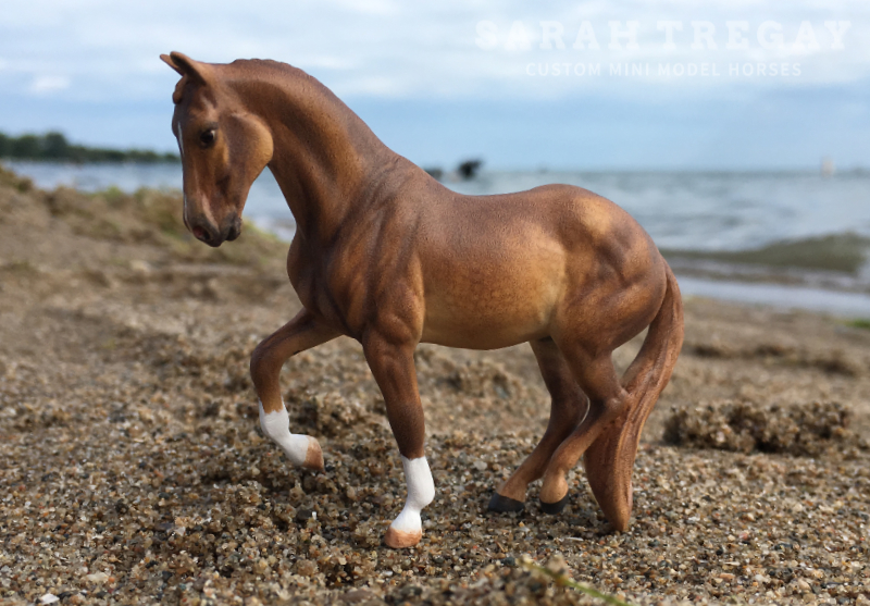 CM Breyer Stablemate by Sarah Tregay, a Custom Mini/ Stablemate Model Horse 