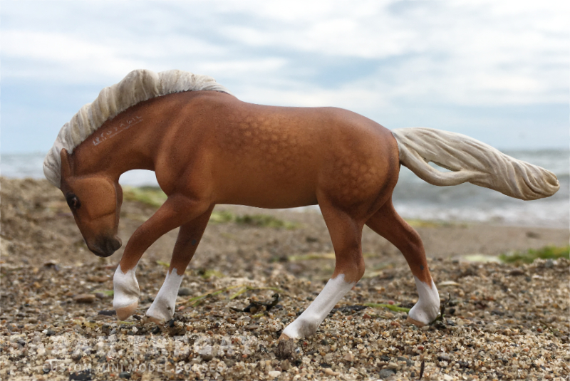 custom mini model horse by Sarah Tregay (Breyer Stablemate Mustang, Rivet Mold, Dapple Palomino)