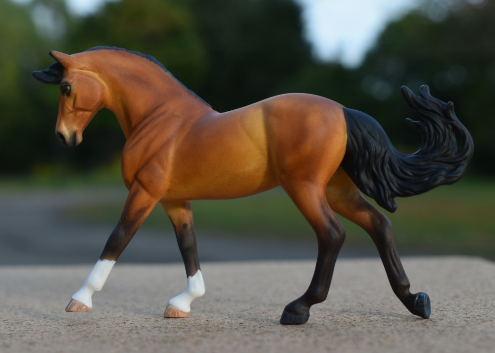 CM Breyer Golden bay cantering warmblood mare by Sarah Tregay, a Custom Mini/ Stablemate Model Horse 