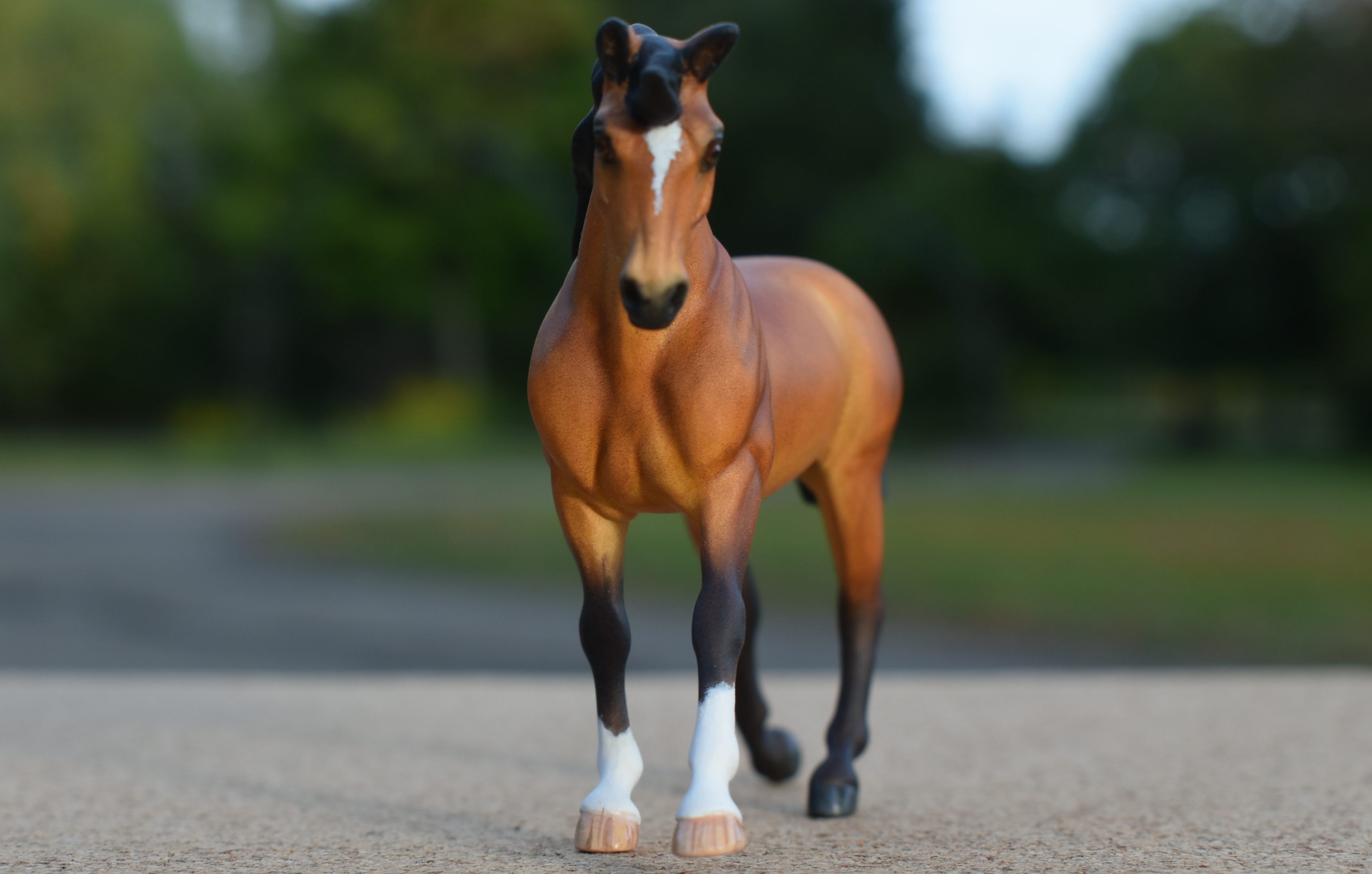 CM Breyer Golden bay cantering warmblood mare by Sarah Tregay, a Custom Mini/ Stablemate Model Horse 