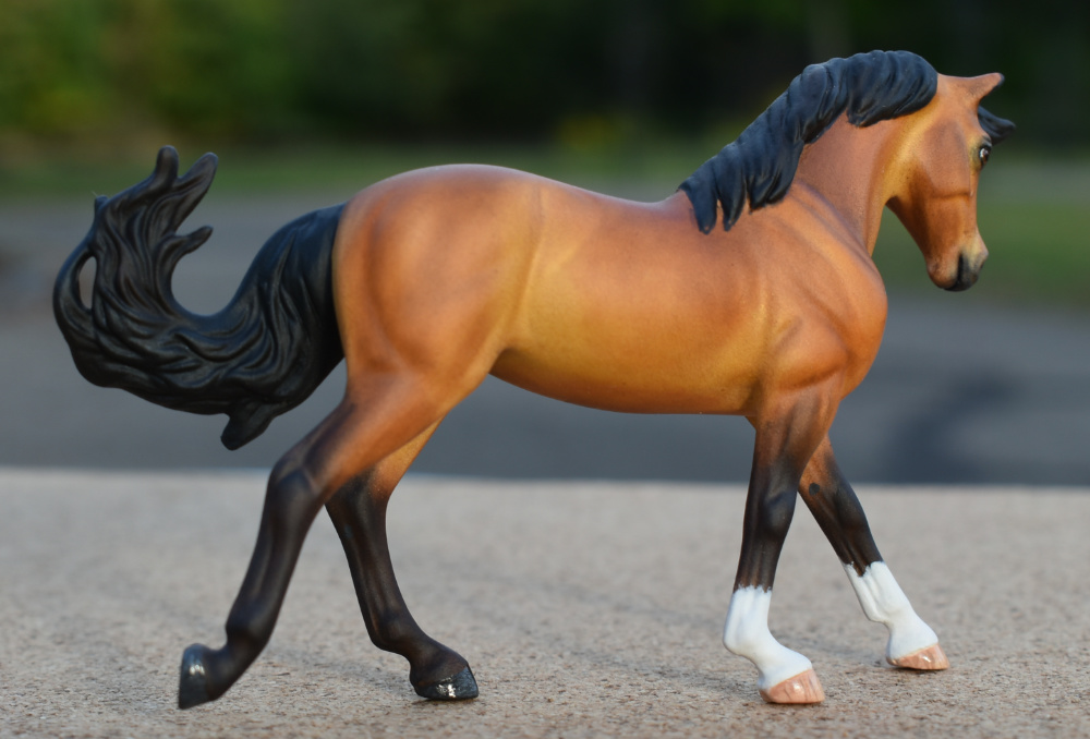 CM Breyer Golden bay cantering warmblood mare by Sarah Tregay, a Custom Mini/ Stablemate Model Horse 