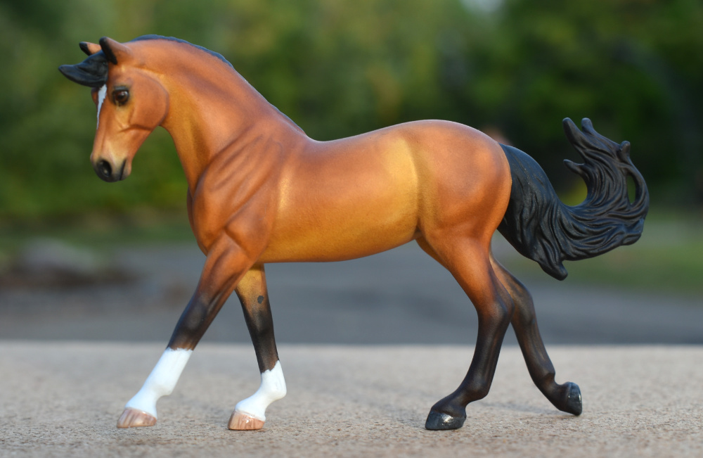 CM Breyer Golden bay cantering warmblood mare by Sarah Tregay, a Custom Mini/ Stablemate Model Horse 