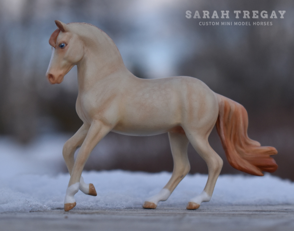 CM Breyer by Sarah Tregay, a Custom Mini/ Stablemate Model Horse to cremello Morgan