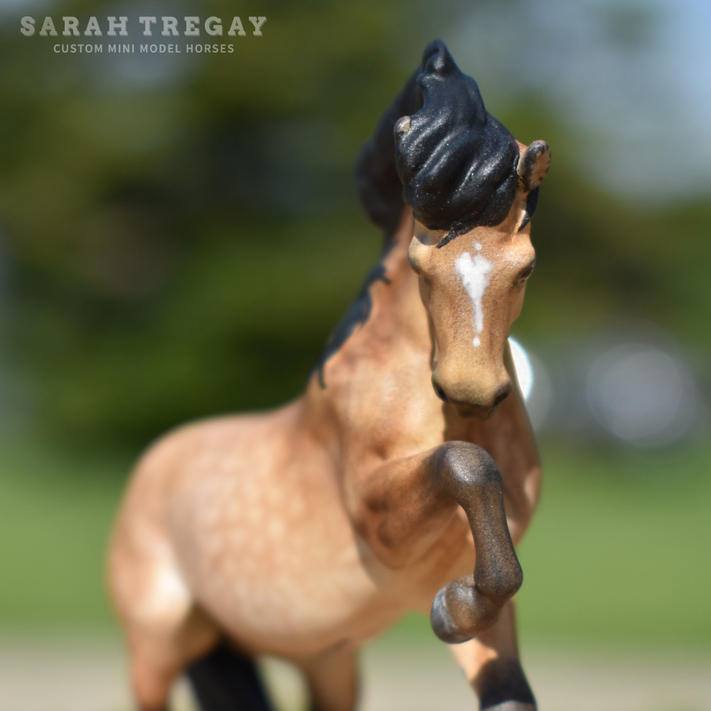 CM Breyer by Sarah Tregay, a Custom Mini/ Stablemate Model Horse Dapple Sooty Buckskin Connemara