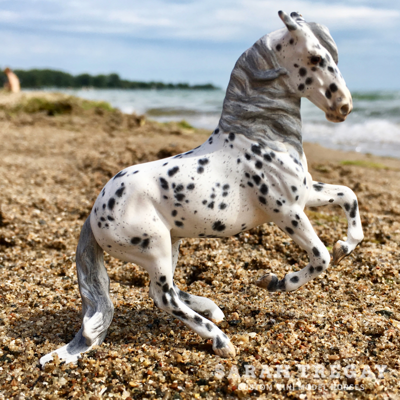 CM mini Alborozo Model horse / Breyer Stablemate Custom by Sarah Tregay in leopard appaloosa