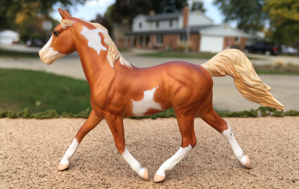 CM Breyer by Sarah Tregay, a Custom Mini/ Breyer Stablemate Model Horse to Pintabian Mare in sorrel pinto