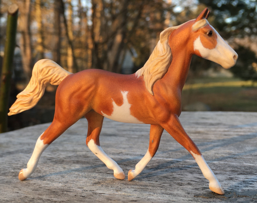 CM Breyer by Sarah Tregay, a Custom Mini/ Breyer Stablemate Model Horse to Pintabian Mare in sorrel pinto