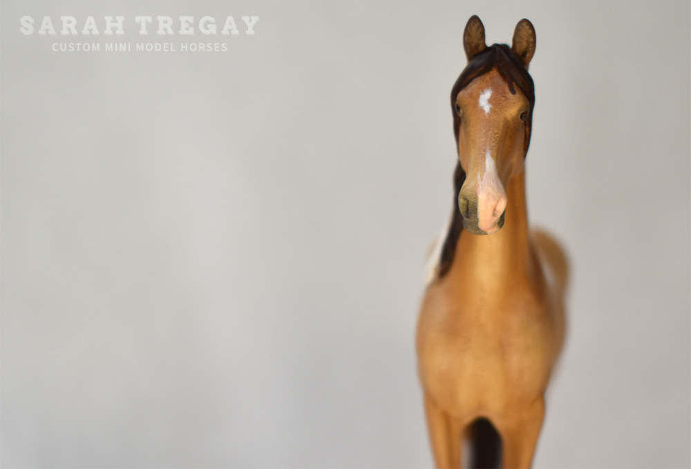 CM Breyer by Sarah Tregay, a Custom Mini/ Stablemate Model Horse Buckskin Tobiano Friesian Sport Horse / Friesian Cross