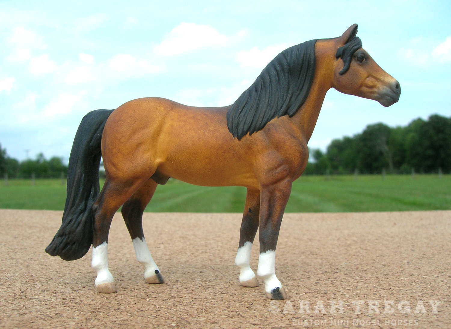 CM Mini Morgan by Sarah Tregay, a Custom Mini/ Stablemate Model Horse dapple bay