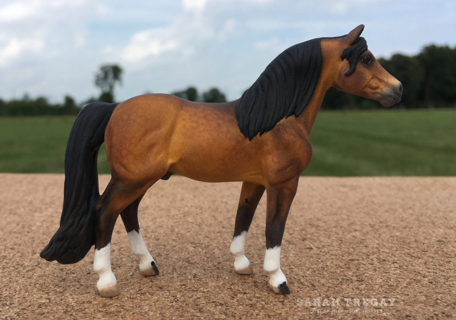 CM daple bay morgan horse by Sarah Tregay, a Custom Mini/ Stablemate Model Horse 