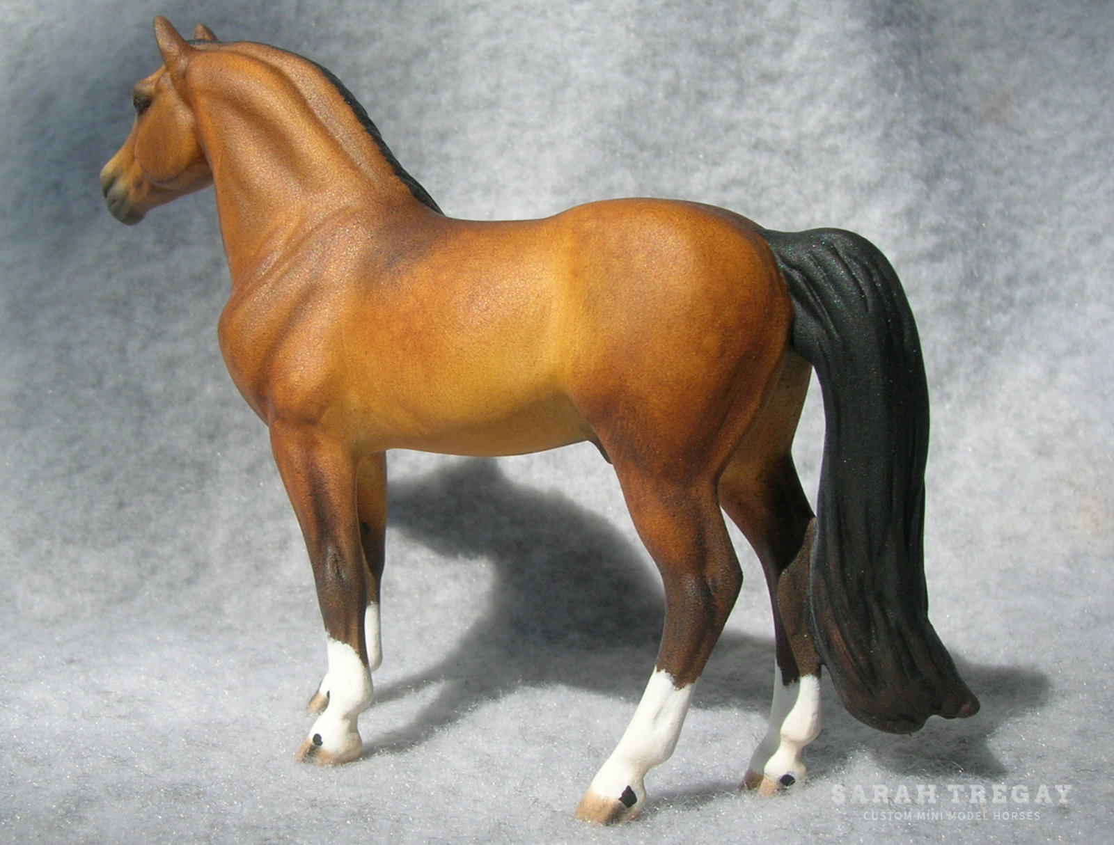 CM Mini Morgan by Sarah Tregay, a Custom Mini/ Stablemate Model Horse dapple bay