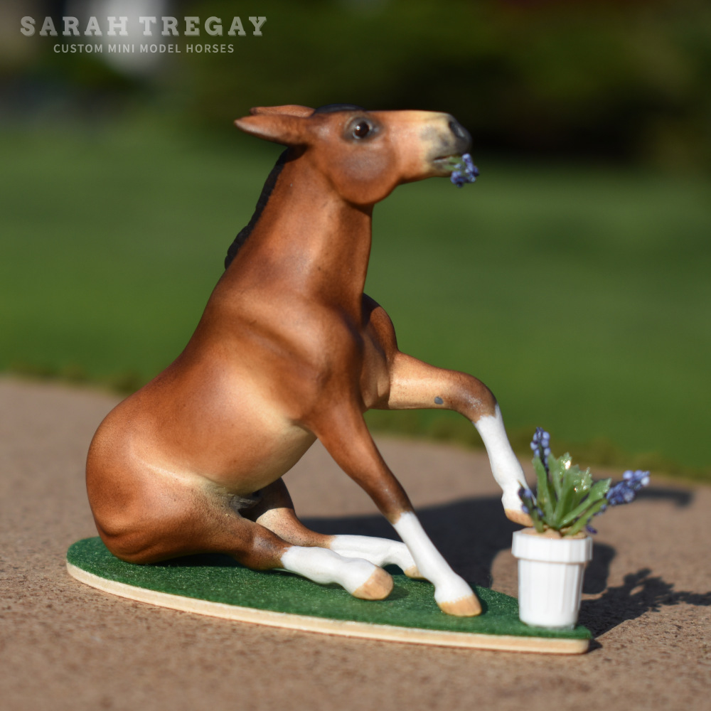 CM model horse mule Custom Breyer Stablemate (mini) by Sarah Tregay bay sitting mule john