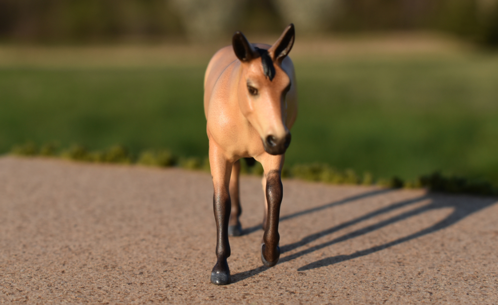 Buckskin Mule Primative Markings Molly, CM Breyer by Sarah Tregay, a Custom Mini/ Stablemate Model Horse 