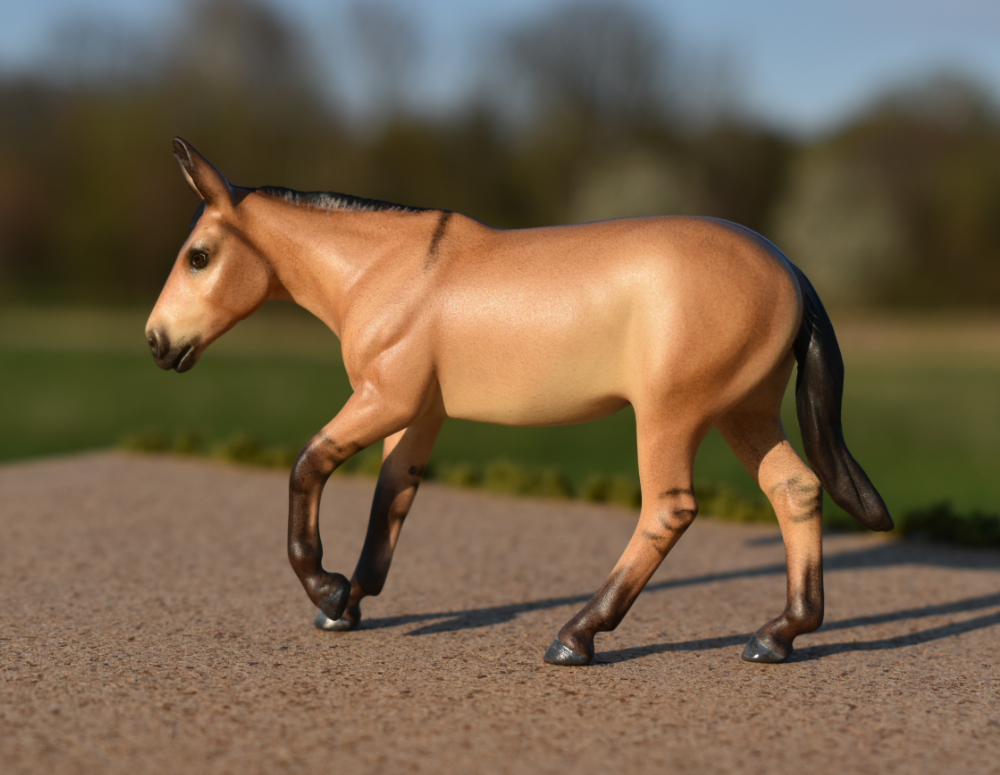 Buckskin Mule Primative Markings Molly, CM Breyer by Sarah Tregay, a Custom Mini/ Stablemate Model Horse 