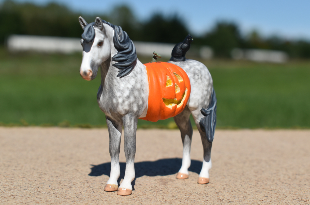 CM Breyer by Sarah Tregay, a Custom Mini/ Stablemate Model Horse to dapple gray connemara stallion with jack-o-lantern and black cat, a Halloween decorator Breyer Stablmate