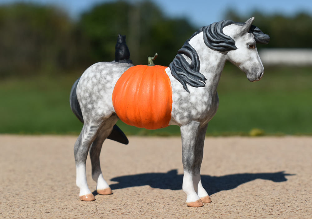 CM Breyer by Sarah Tregay, a Custom Mini/ Stablemate Model Horse to dapple gray connemara stallion with jack-o-lantern and black cat, a Halloween decorator Breyer Stablmate