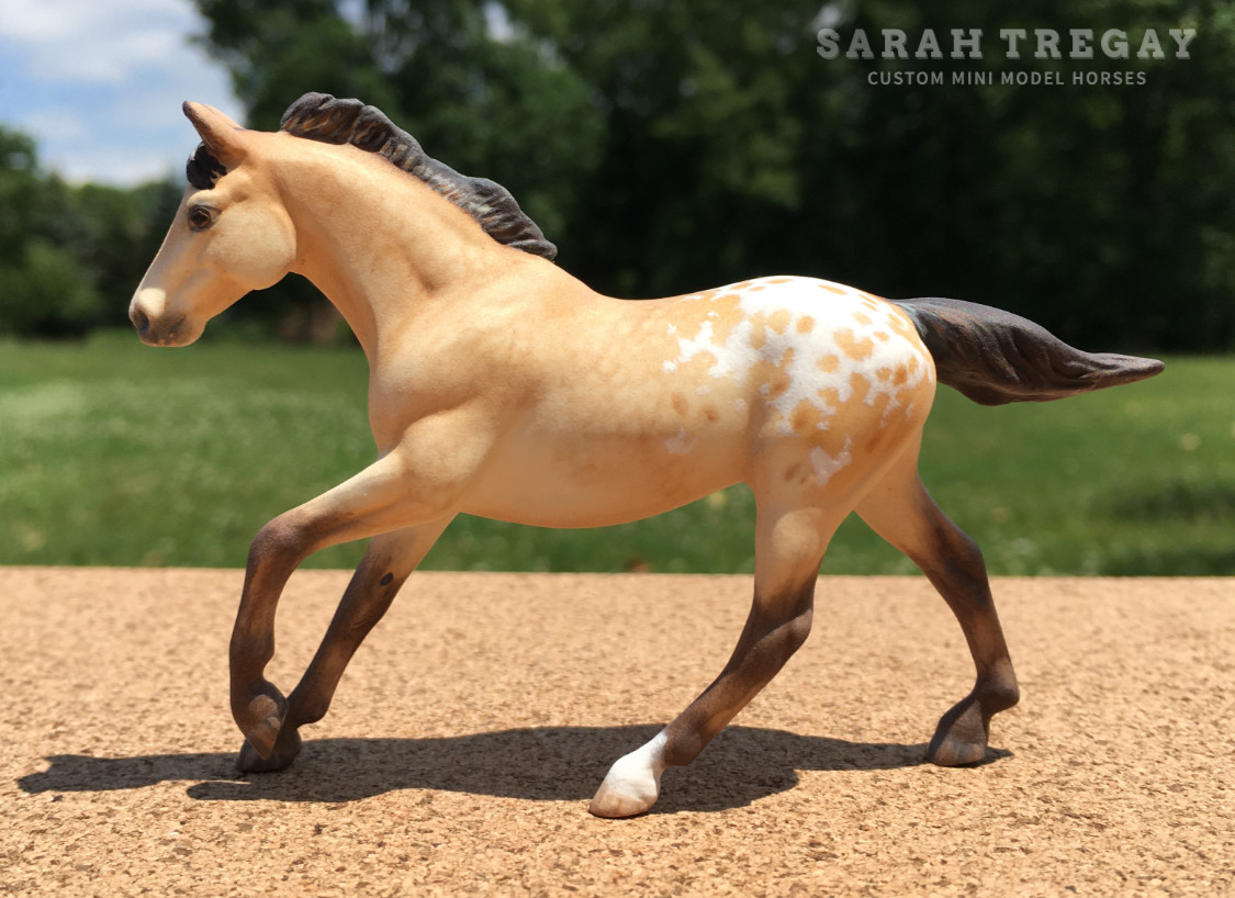 Bucskin Appaloosa mare on Seabiscuit mold, custom mini model horse by Sarah Tregay (Breyer Stablemates)