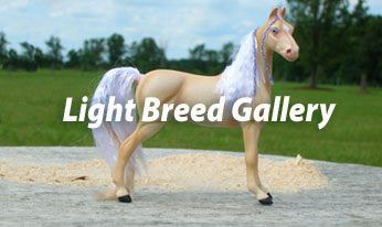CM mini light breed horses by Sarah Tregay