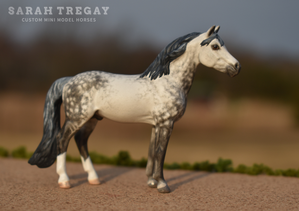 CM Breyer by Sarah Tregay, a Dapple Gray Custom Mini/ Stablemate Model Horse Breyer Standing Warmblood mold