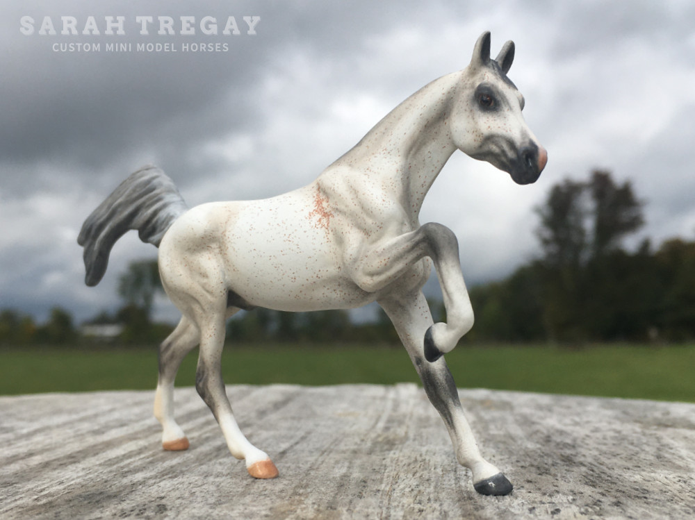 CM Darley Mold, Nabil, a bloody shoulder Arabiane by Sarah Tregay, a Custom Mini/ Stablemate Model Horse 