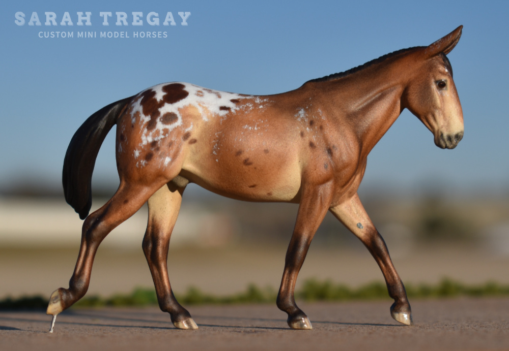 CM model horse mule Custom Breyer Stablemate (mini) by Sarah Tregay appaloosa mule