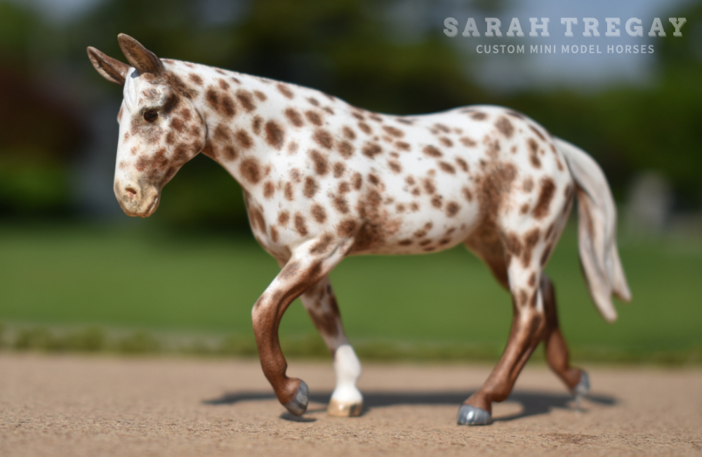 CM model horse mule Custom Breyer Stablemate (mini) by Sarah Tregay appy appaloosa mule 