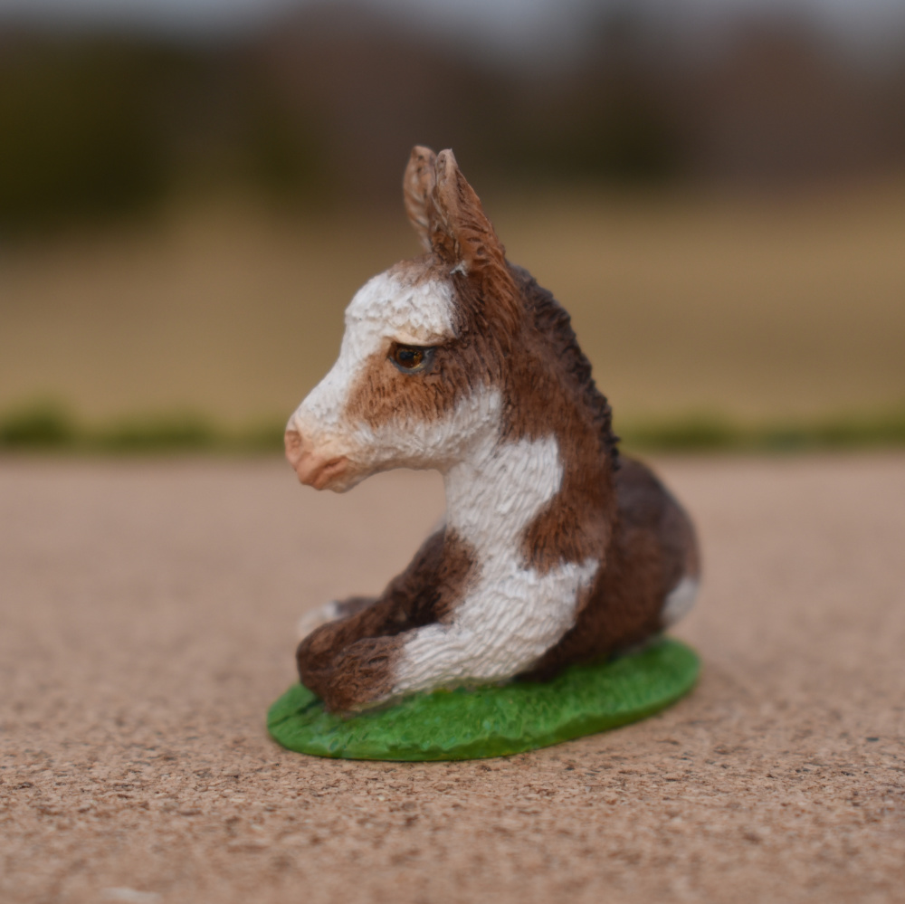 Painted by Sarah Tregay, a Palmerston Resin pinto donkey