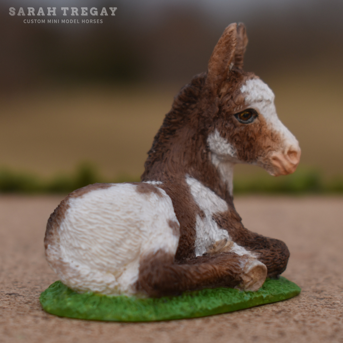 Painted by Sarah Tregay, a Palmerston Resin pinto donkey