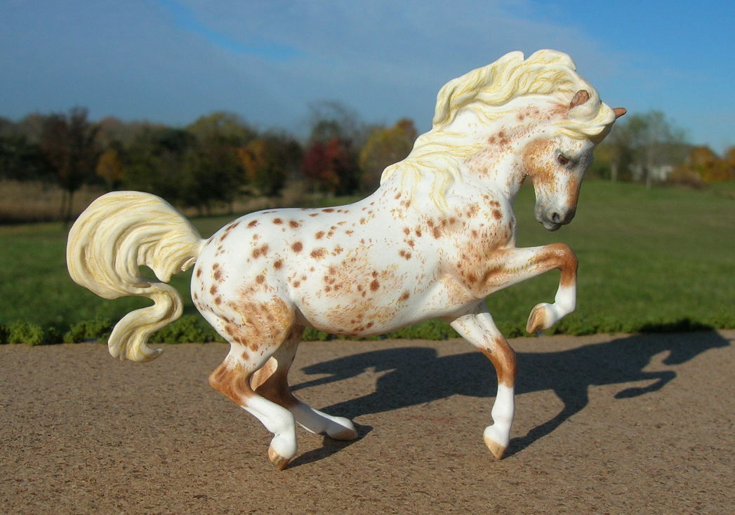 CM Breyer by Sarah Tregay, a sorrel roan appaloosa POA mare Custom Mini/ Stablemate Model Horse Breyer croi mold