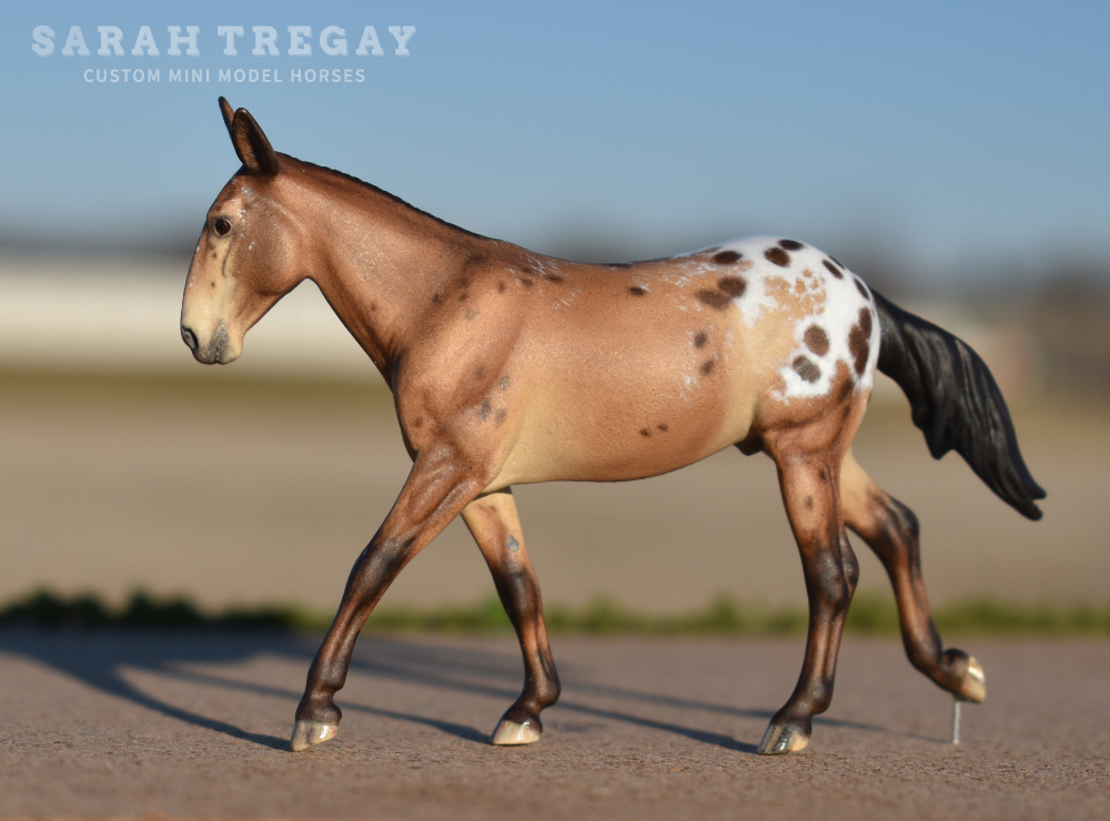 CM Breyer by Sarah Tregay, a bay appaloosa mule Custom Mini/ Stablemate Model Horse Breyer corbin/Irish Draft mold