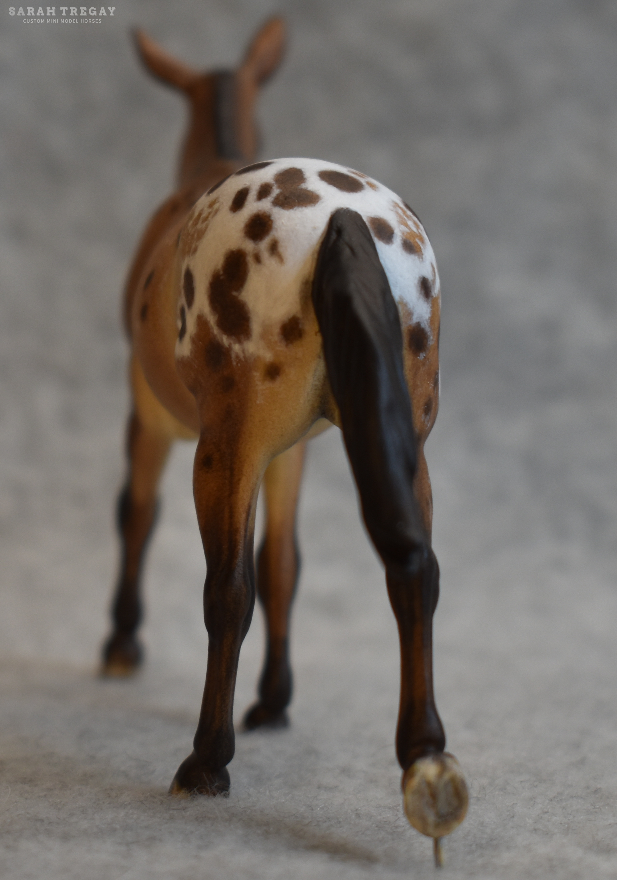 CM Breyer by Sarah Tregay, a bay appaloosa mule Custom Mini/ Stablemate Model Horse Breyer corbin/Irish Draft mold