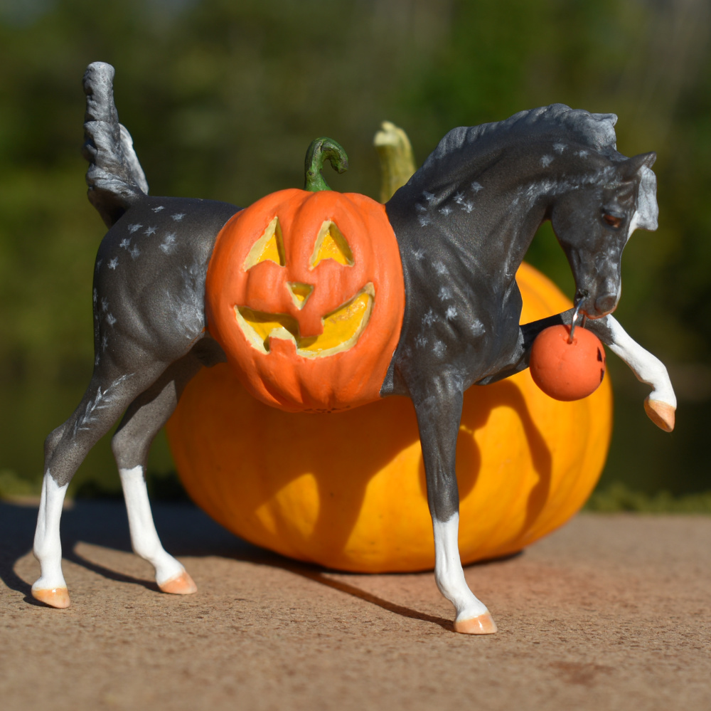Custom Halloween Model horse (Breyer Stablemate) with a pumpkin belly by Sarah Tregay