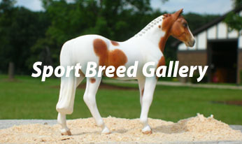 CM mini sport horses by Sarah Tregay