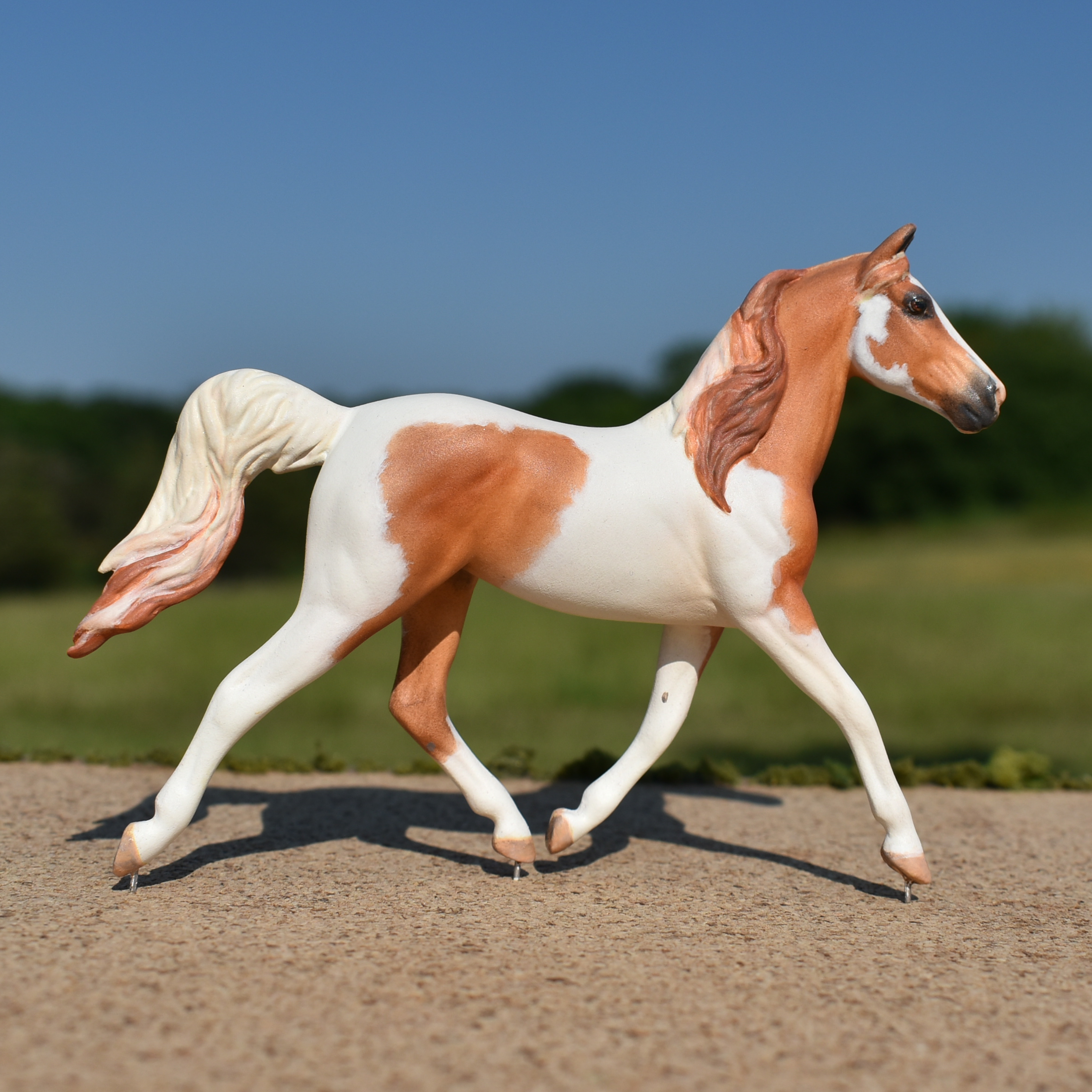 Chestnut pinto/pintabian Model horse (Breyer Stablemate) mare by Sarah Tregay