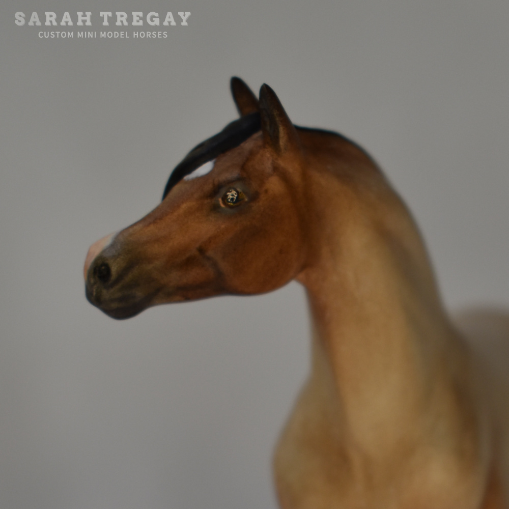 CM Breyer by Sarah Tregay, a Custom Mini/ Stablemate Model Horse to bay roan